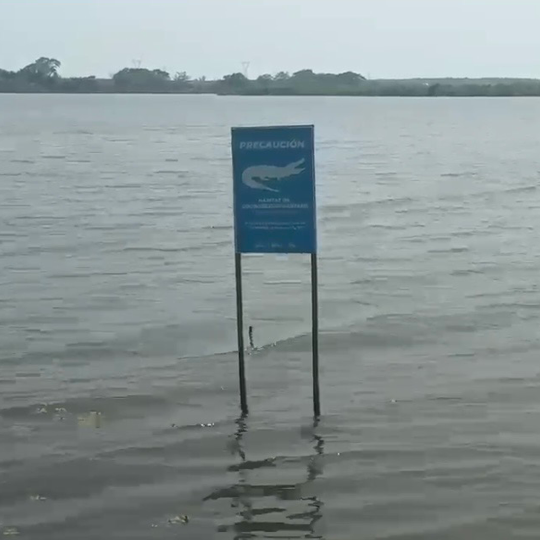 Denuncian que Arrojan Escombro y Varillas a la Laguna del Chairel en Tampico